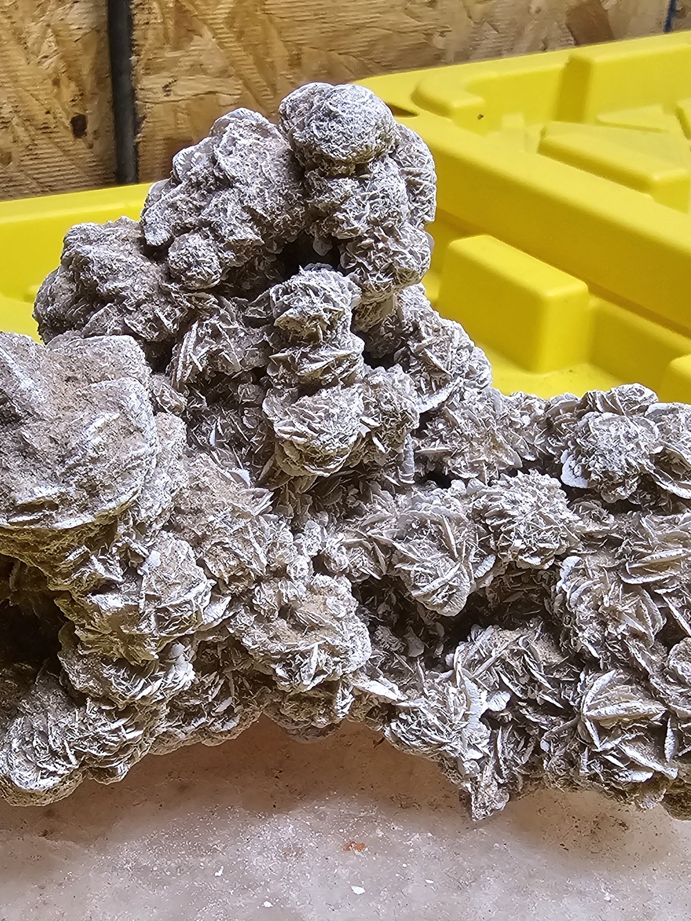 Desert Rose Selenite Crystal Cluster - Natural Beige and White Tones